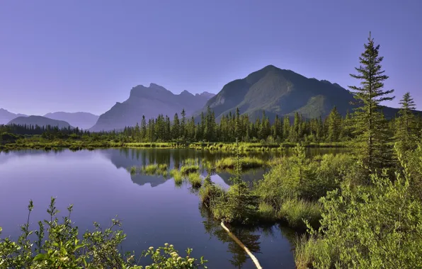 Trees, landscape, mountains, nature, lake
