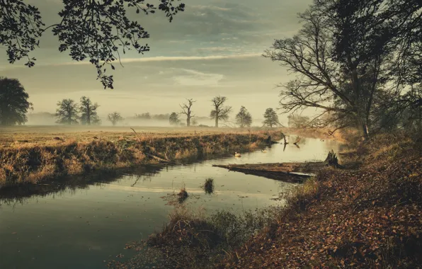 Landscape, nature, fog, river, morning, Poland, Robert Kropacz