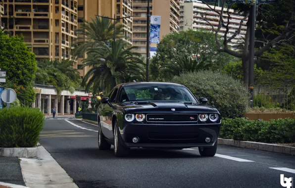 Dodge, Challenger, SRT