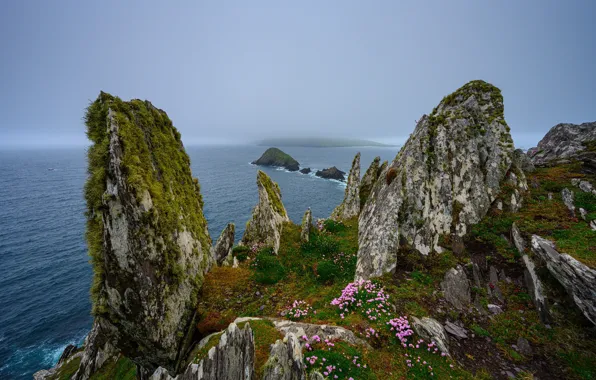 Sea, rocks, shore, Ireland, Munster, Dunquin