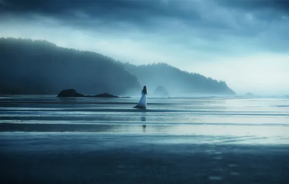 FOREST, SEA, The OCEAN, The SKY, SAND, CLOUDS, DRESS, SHORE