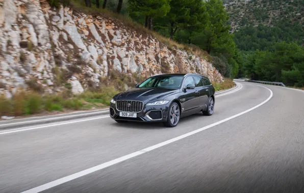 Vegetation, Jaguar, slope, universal, on the road, Jaguar XF, 2020, XF