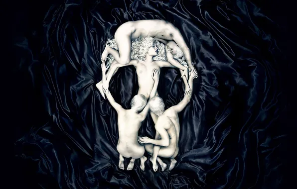 Picture Minimalism, Design, Skull, Black background, Creative, Sake, Creative, Sex