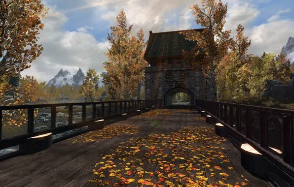 Leaves, trees, bridge, lake, river, river, trees, bridge