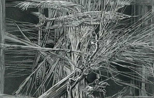 Aibek Begalin, Begalieva, Сonfidence, Two thousand thirteen