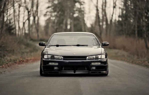 Picture forest, black, before, Silvia, Nissan, S14