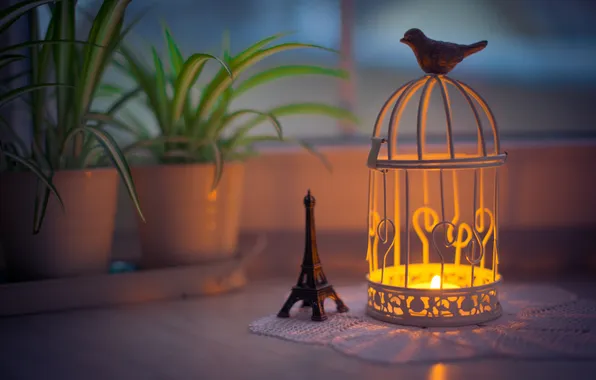 Picture the evening, candles, lantern, eiffel tower
