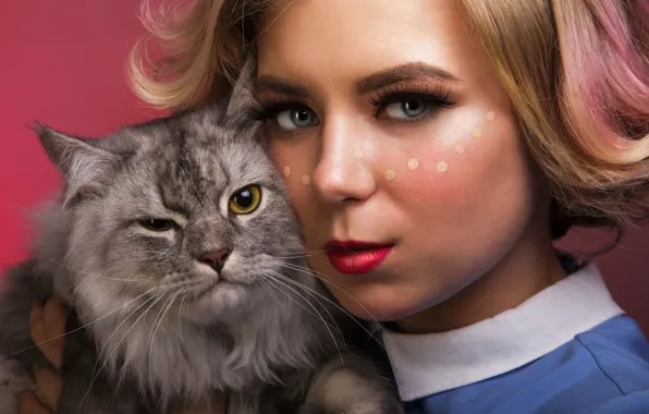Picture cat, girl, sponge