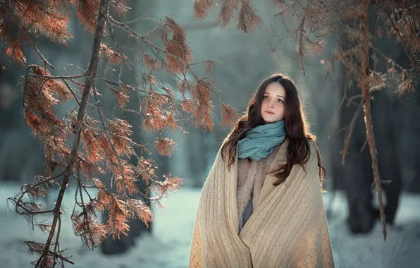 Picture winter, girl, spruce forest, shawl