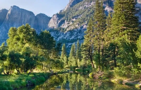 Picture forest, mountains, nature, river