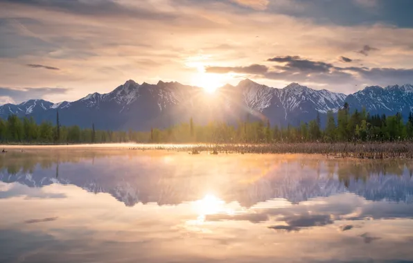 Forest, the sun, clouds, light, mountains, fog, reflection, shore