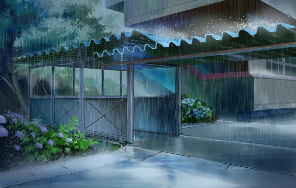 The shower, hydrangea, check