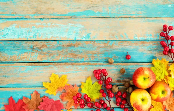 Autumn, leaves, berries, background, tree, apples, colorful, nuts