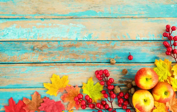 Picture autumn, leaves, berries, background, tree, apples, colorful, nuts