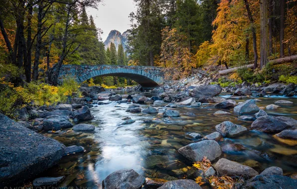Picture autumn, forest, trees, river, stones, CA, California, Yosemite national Park