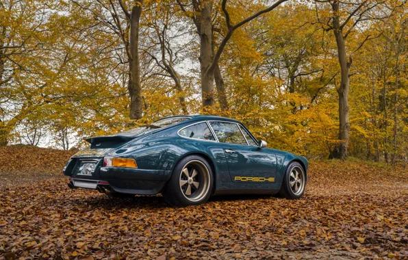 Picture car, 911, Porsche, trees, 964, Theon Design Porsche 911