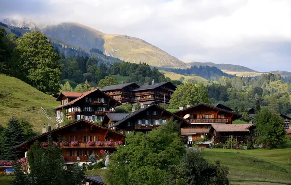 Picture city, nature, Town