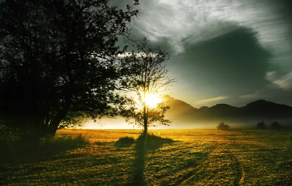 Picture field, the sun, mountains, morning