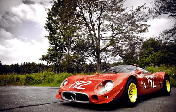Race, Alfa Romeo, the car, old
