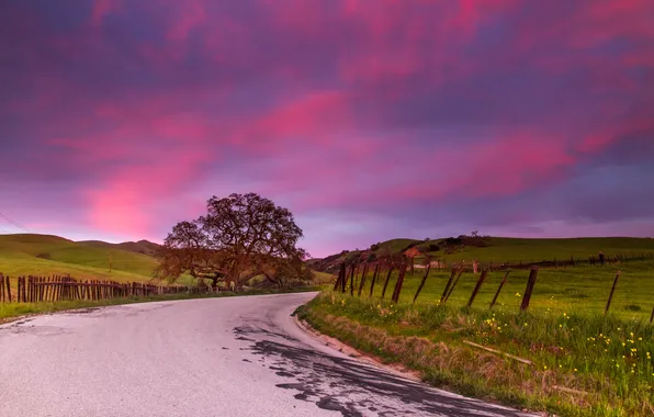 Road, the sky, clouds, tree, the fence, field, hill, twilight