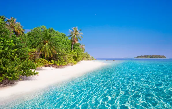 Picture beach, coast, blue, beautiful, clouds, clear, coconut, bay