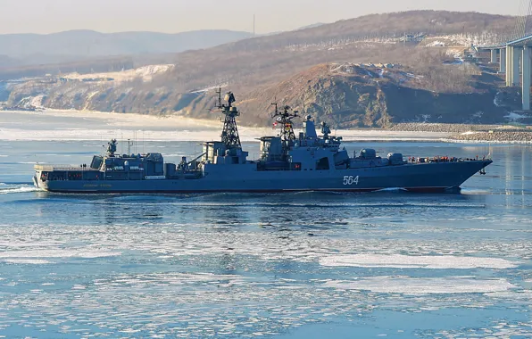 Navy, project 1155, large anti-submarine ship, Admiral Tributs