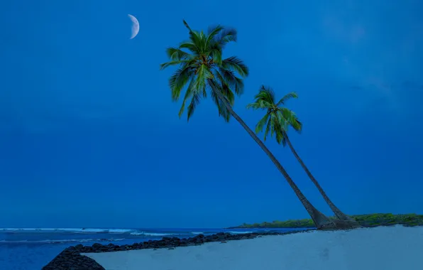 Sand, beach, the sky, palm trees, the ocean, coast, Hawaii, The Pacific ocean
