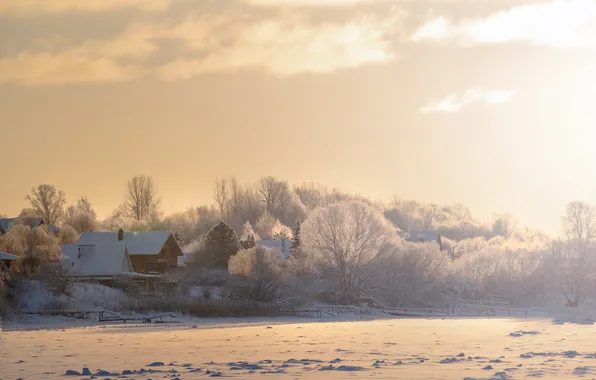 Picture winter, the sky, trees, sunset, Gordeev Edward, house