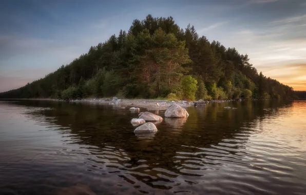 Forest, trees, landscape, nature, stones, Karelia, the Peninsula, Lake Onega