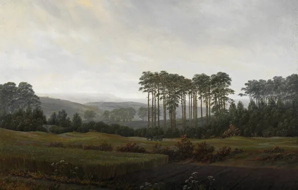 Trees, landscape, nature, picture, Caspar David Friedrich, Afternoon