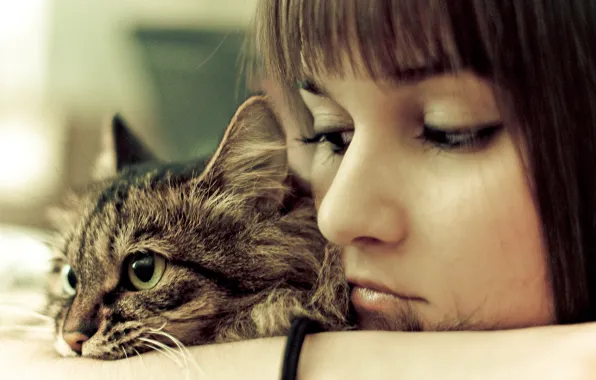 Cat, girl, sadness