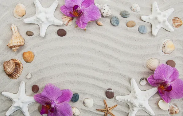 Sand, stars, background, shell, beach, Orchid, flowers, background