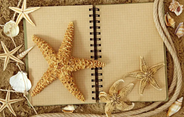 Sand, stars, rope, Notepad, shell