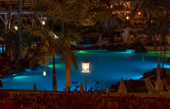 Night, lights, palm trees, pool, lights, resort, Spain, Tenerife