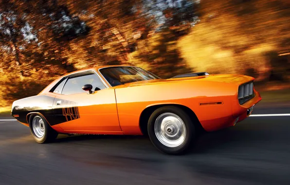 Picture in motion, muscle car, Plymouth, Plymouth cuda