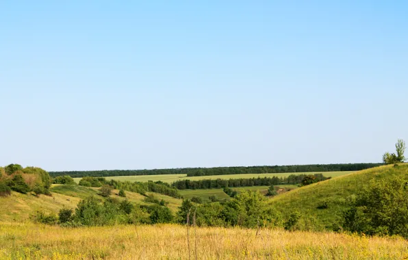Picture greens, summer, hills, the vast expanses of Russia