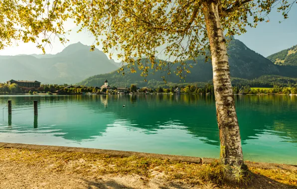 Forest, light, mountains, branches, fog, lake, tree, hills