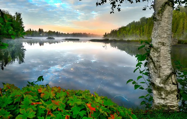 Autumn, trees, landscape, nature, fog, lake, morning, Canada