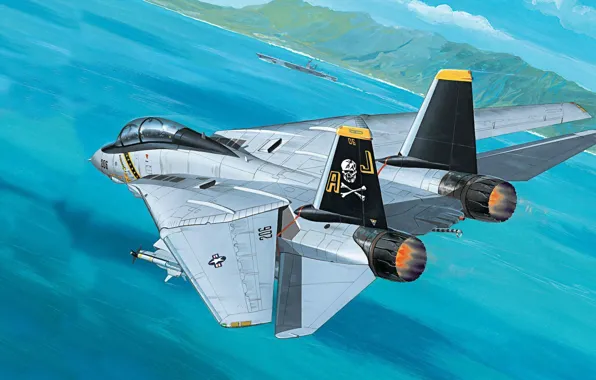 Jet, fighter-bomber, Tomcat, F-14, the fourth generation, double, interceptor, Grumman Aircraft Engineering Corporation
