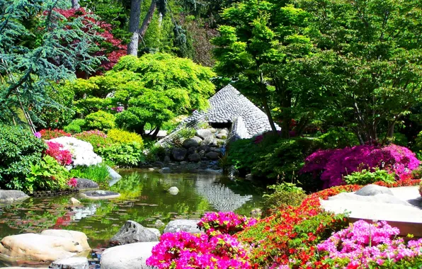 Trees, flowers, pond, stones, France, garden, the bushes, Albert-Kahn Japanese gardens