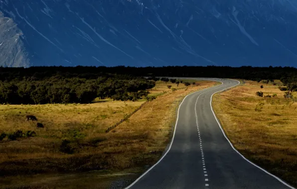 Road, trees, mountains, the evening