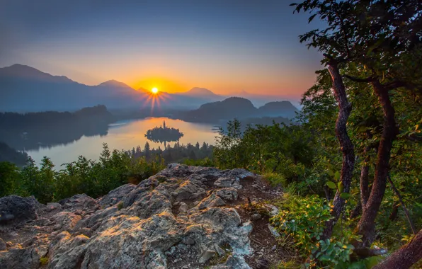 Forest, sunset, mountains, lake, island, panorama, Slovenia, Lake Bled