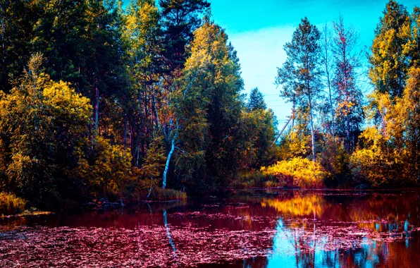 Summer, Pervouralsk, Gagarino