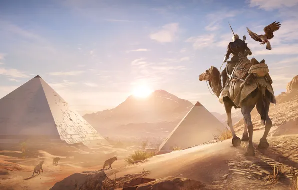 Sand, bird, desert, camel, pyramid, Egypt, Assassin's Creed Origins