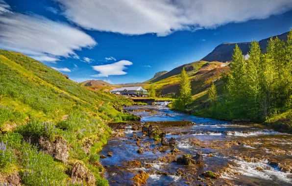 Picture trees, mountains, river, Iceland, Yuri Levko