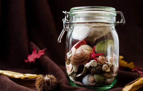 Picture leaves, Bank, fabric, shell, curtain, the fruit, chestnut