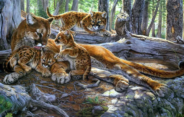 Picture nature, pose, figure, picture, art, kittens, painting, Puma