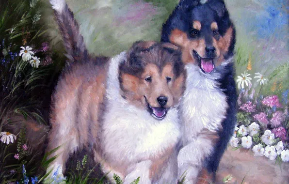 Dogs, look, pose, oil, portrait, dog, pair, painting