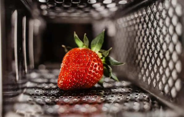 Berry, metal, red, close-up, food, macro, fruit, blur