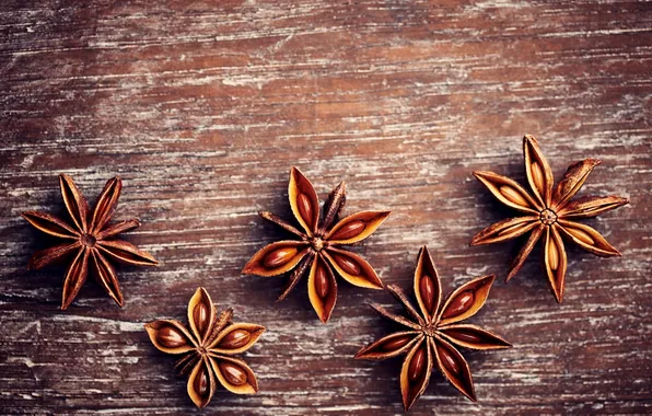 Picture macro, star anise, Anis, anise, star anise, star anise